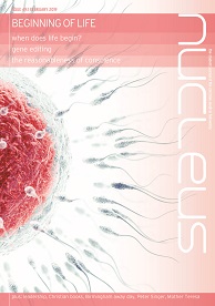 ss nucleus - February 2019,  when does life begin?