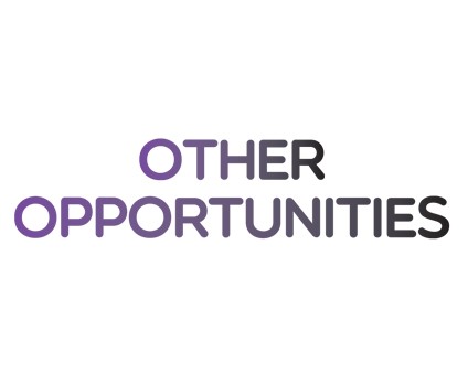 Other opportunities